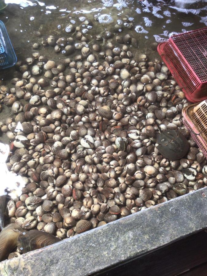 Homestay&Chaoleyseafoodrestaurant Ko Pu Bagian luar foto